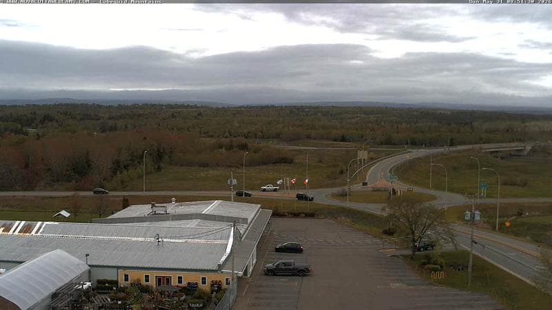 Cobequid Mountains
