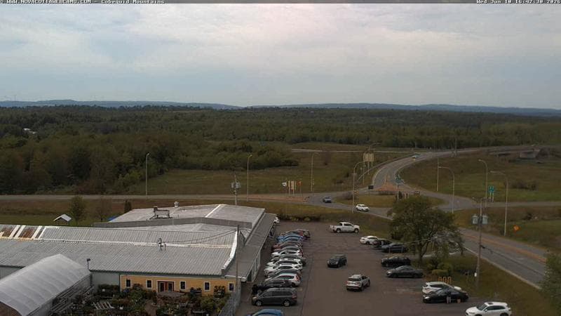 Cobequid Mountains