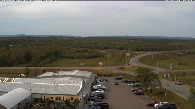 Cobequid Mountains