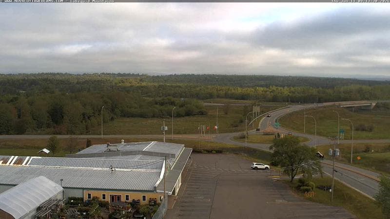 Cobequid Mountains