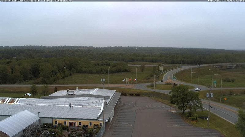 Cobequid Mountains
