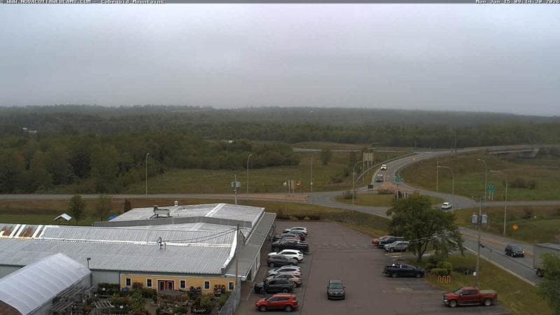 Cobequid Mountains