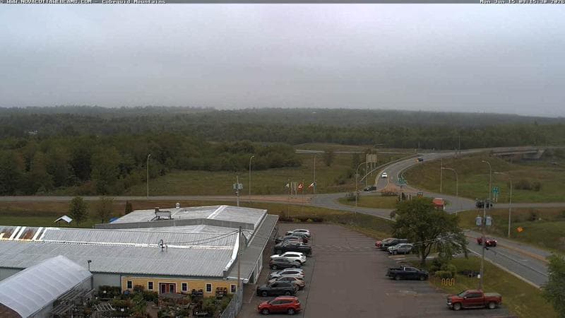 Cobequid Mountains