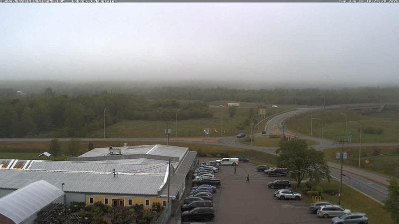 Cobequid Mountains