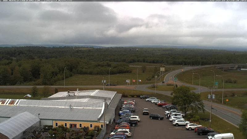 Cobequid Mountains