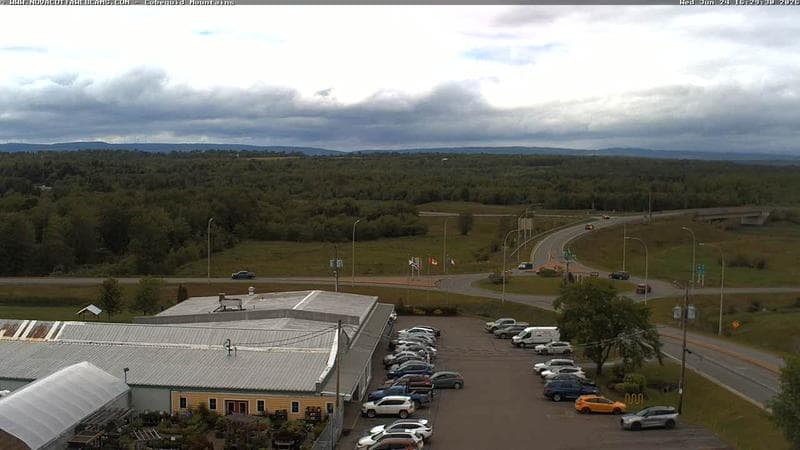Cobequid Mountains