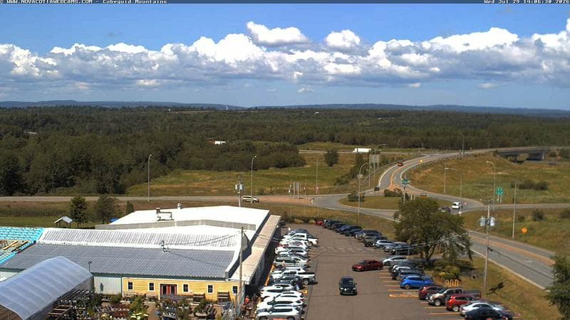 Cobequid Mountains