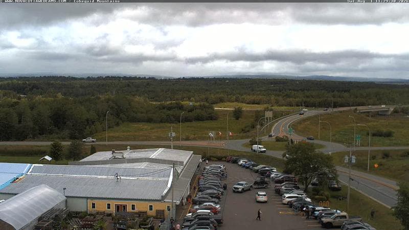 Cobequid Mountains