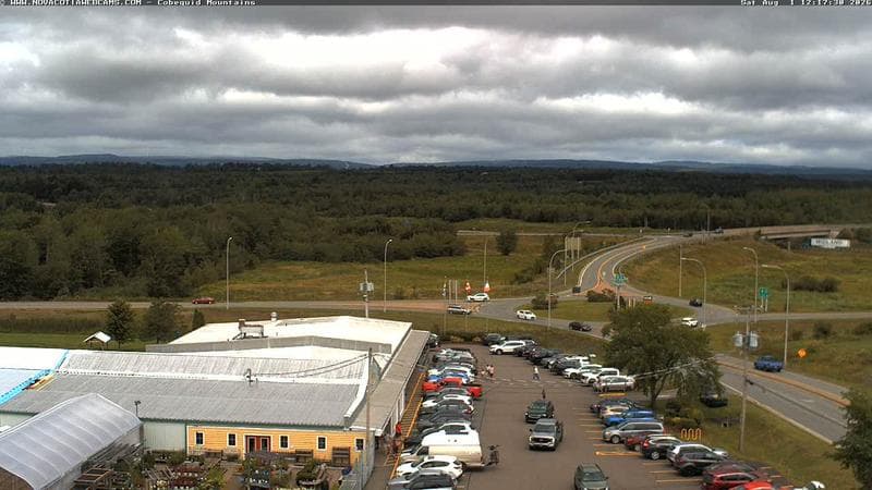 Cobequid Mountains