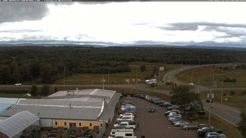 Cobequid Mountains