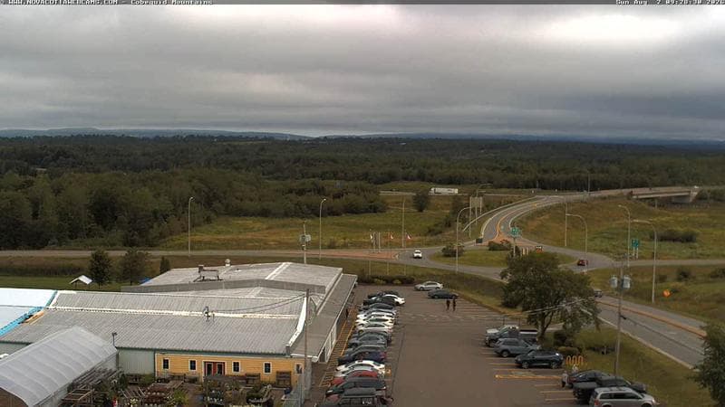 Cobequid Mountains