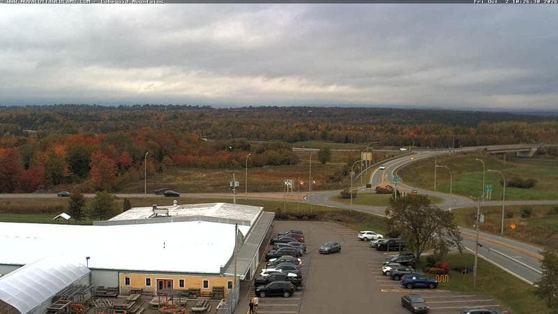 Cobequid Mountains