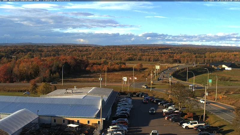 Cobequid Mountains