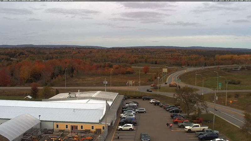 Cobequid Mountains