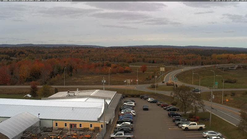 Cobequid Mountains