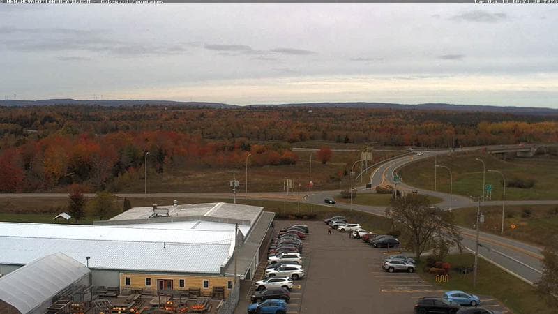 Cobequid Mountains
