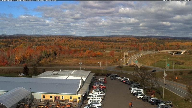 Cobequid Mountains