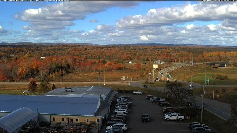 Cobequid Mountains