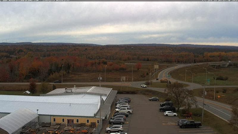 Cobequid Mountains