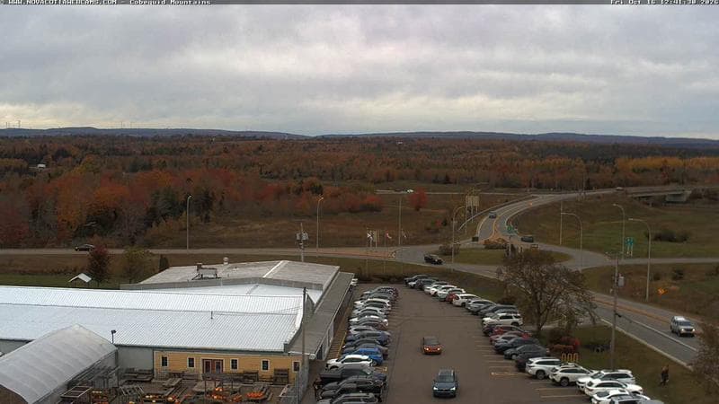 Cobequid Mountains