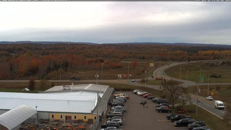 Cobequid Mountains