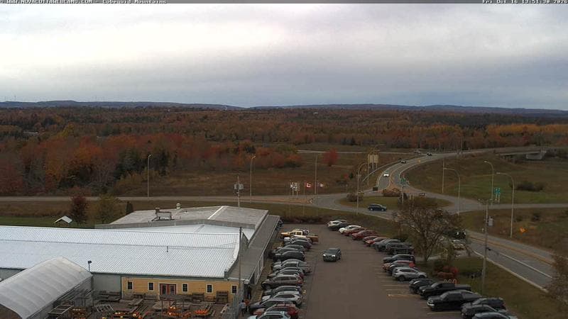 Cobequid Mountains