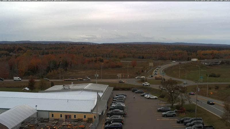 Cobequid Mountains