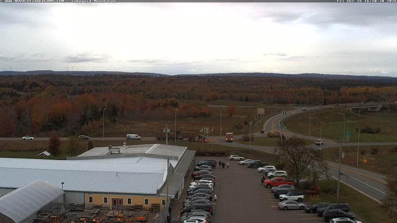 Cobequid Mountains
