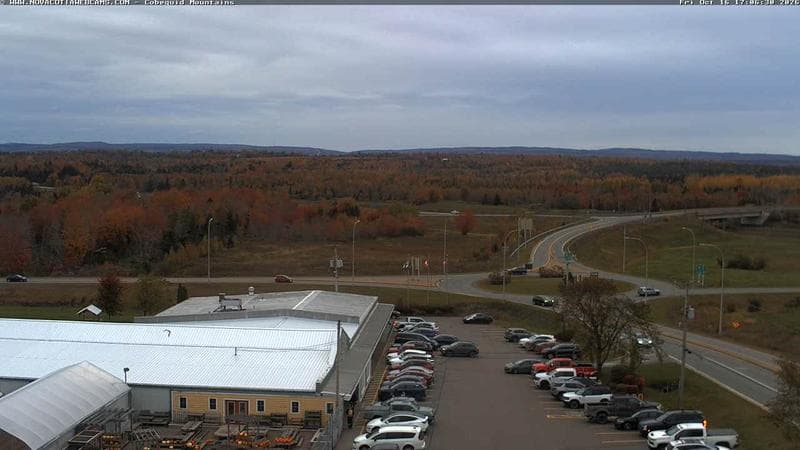 Cobequid Mountains