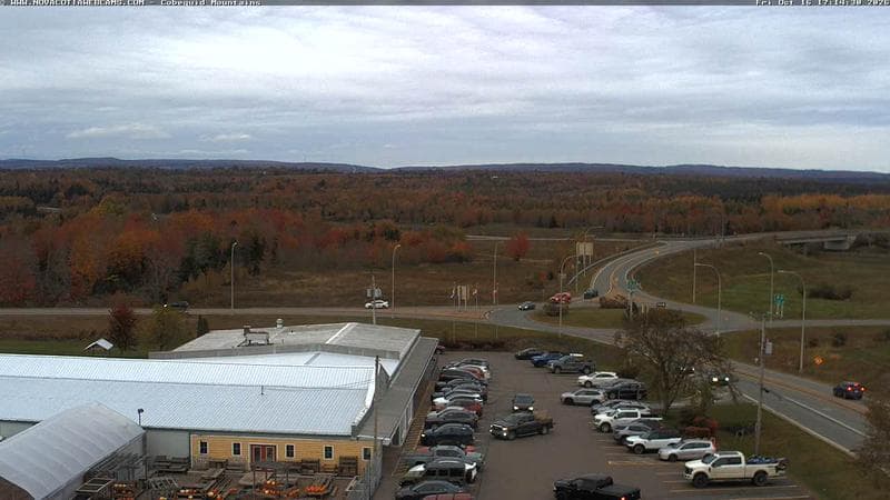 Cobequid Mountains