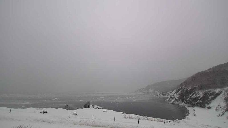 Meat Cove Campground