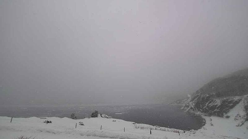 Meat Cove Campground