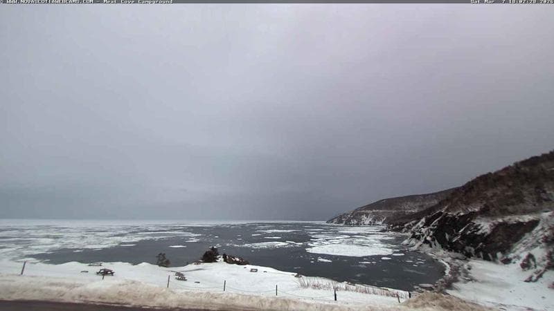 Meat Cove Campground