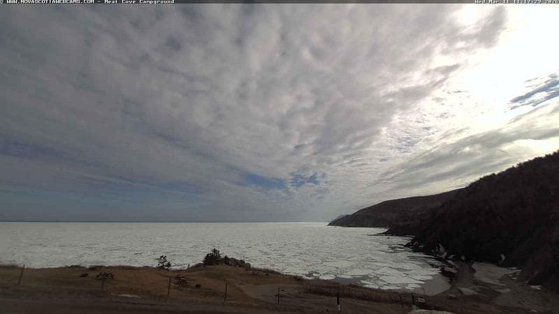 Meat Cove Campground