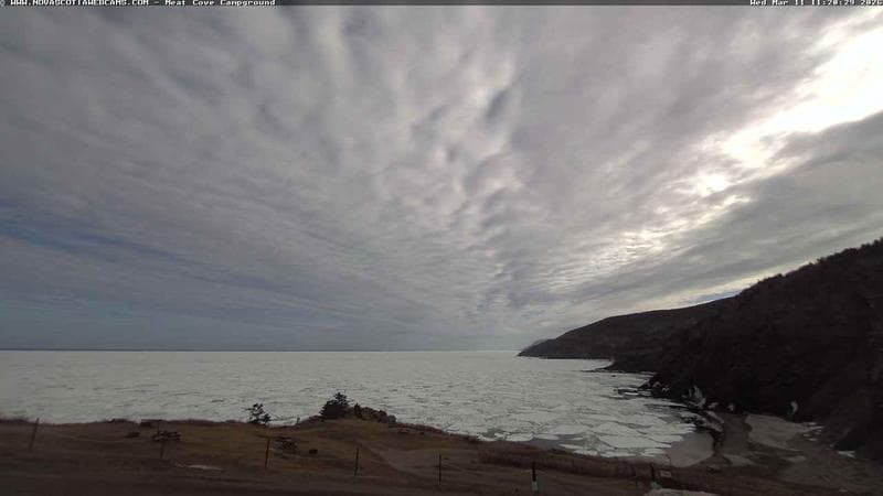 Meat Cove Campground