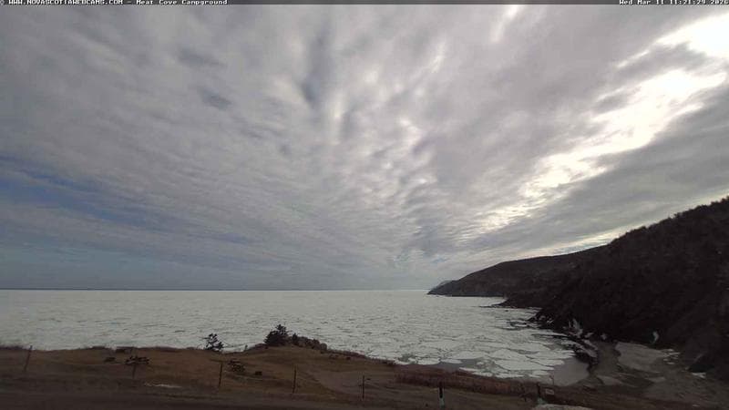 Meat Cove Campground