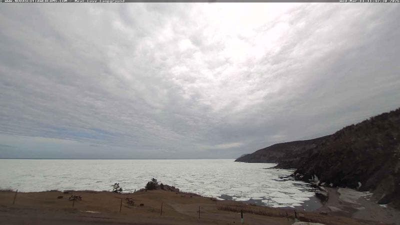 Meat Cove Campground