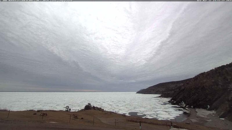 Meat Cove Campground