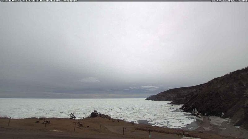 Meat Cove Campground