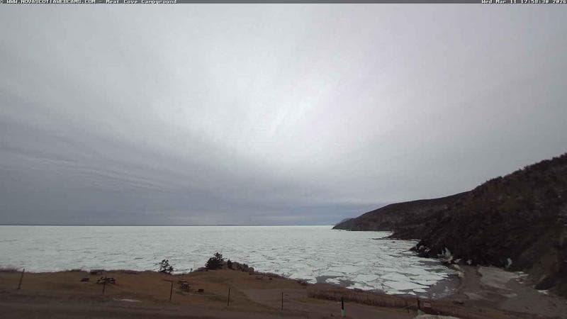 Meat Cove Campground