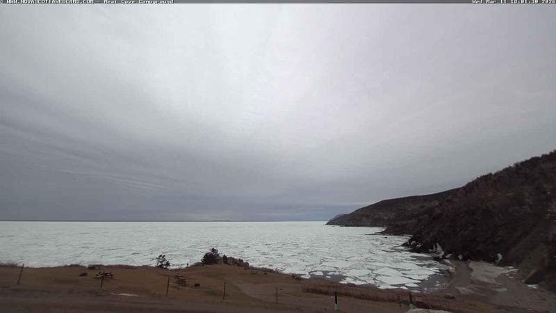 Meat Cove Campground