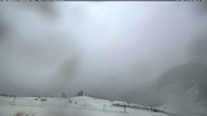 Meat Cove Campground