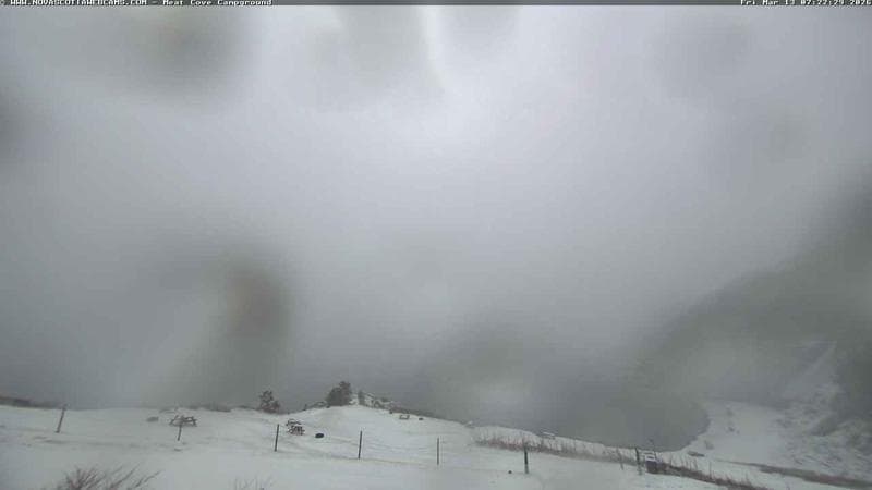 Meat Cove Campground