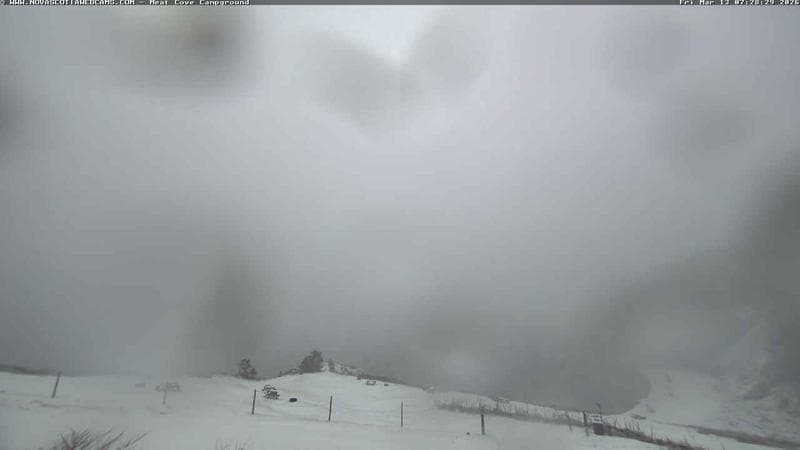 Meat Cove Campground