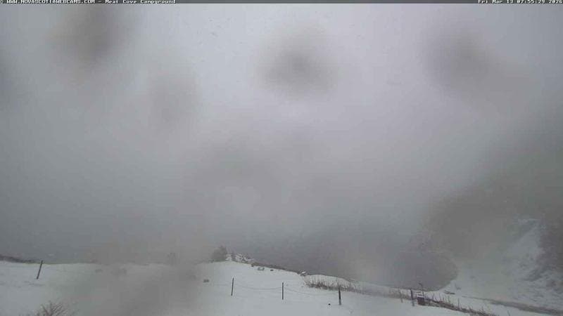 Meat Cove Campground