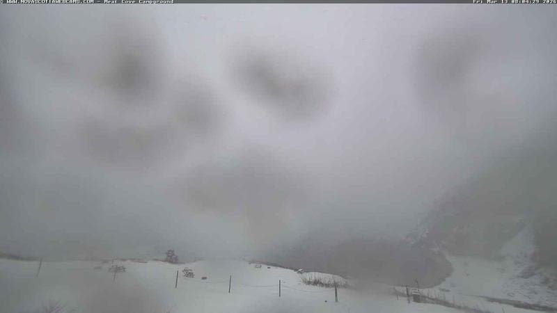 Meat Cove Campground