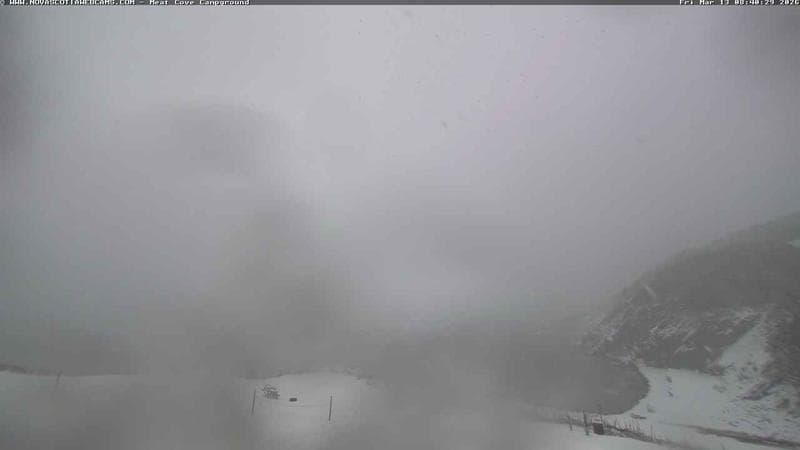 Meat Cove Campground