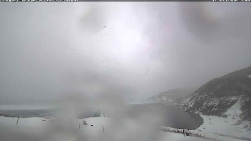 Meat Cove Campground