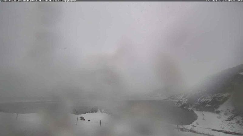 Meat Cove Campground