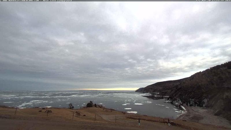 Meat Cove Campground